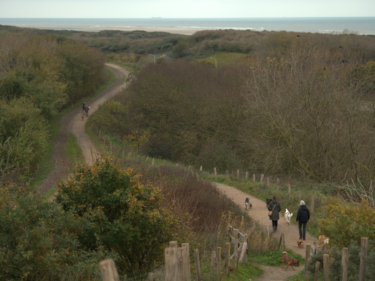 A Netherlands culture of experimentation leads to creative&nbsp;solutions